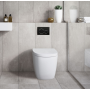 Koko-Matte Black Wall Faced Rimless Toilet Pan Only